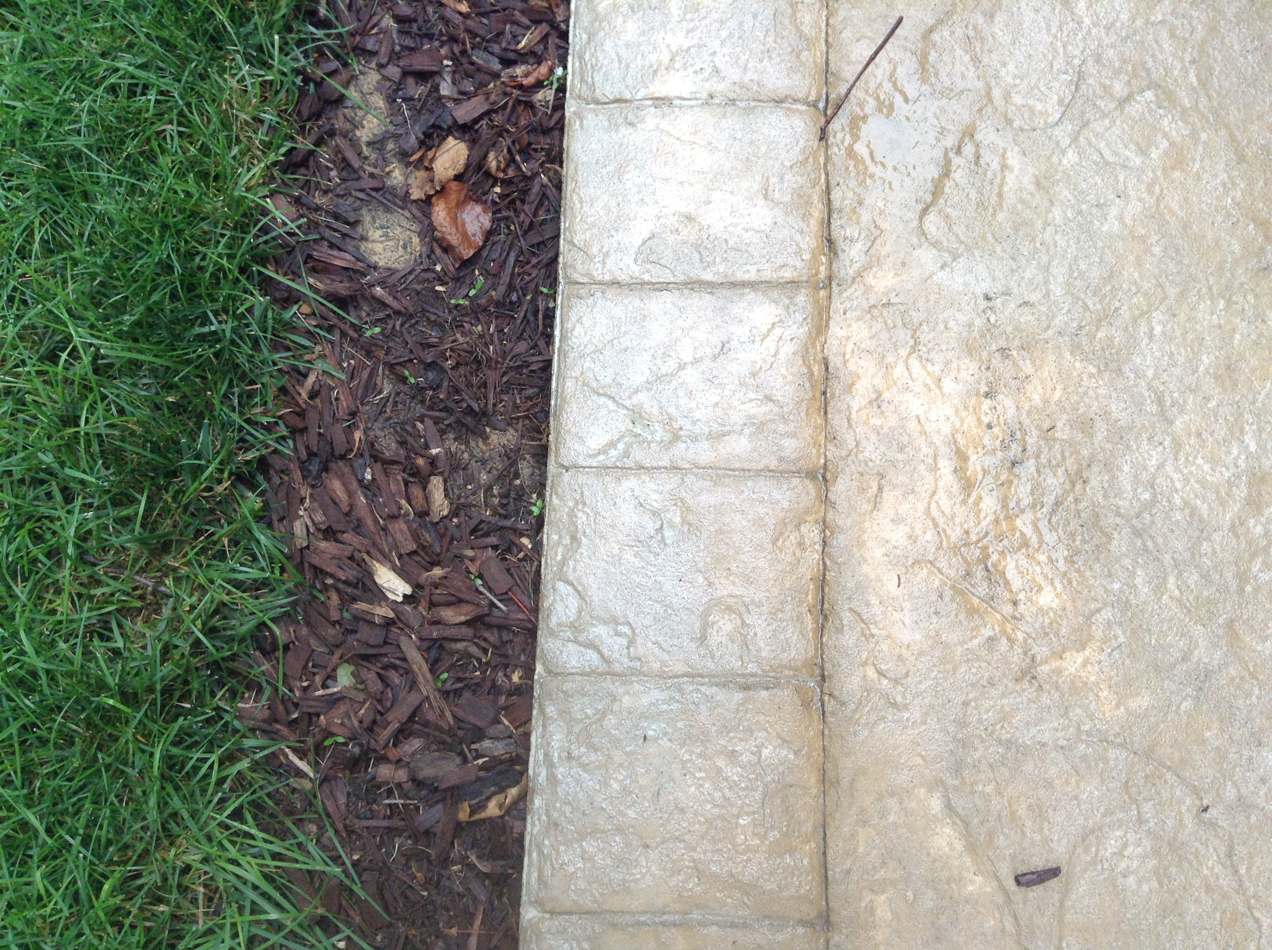 sidewalk with border