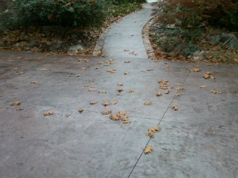 driveway with sidewalk